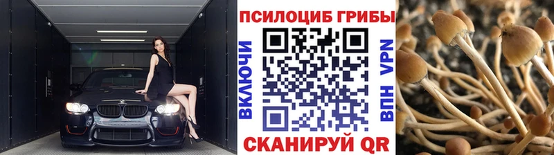 мега   Шилка  Псилоцибиновые грибы GOLDEN TEACHER 